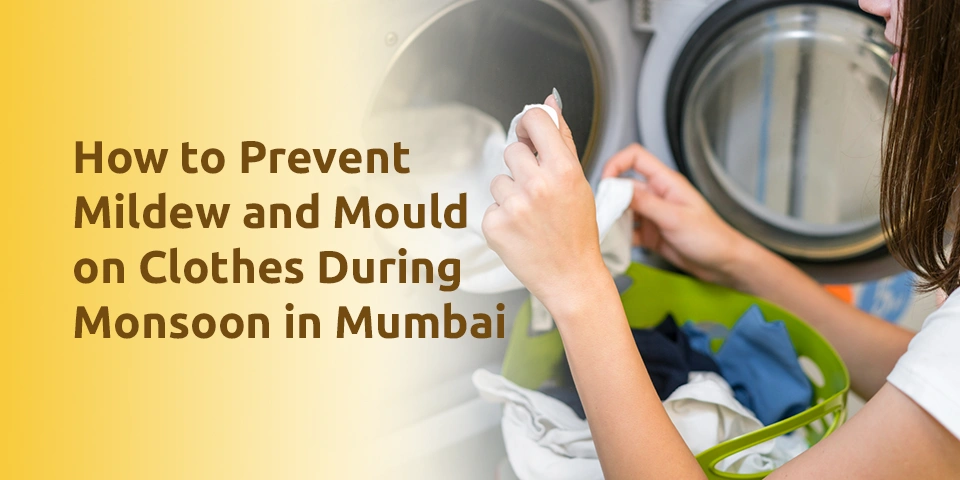 How to Prevent Mildew and Mould on Clothes During Monsoon in Mumbai