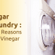 Vinegar in Laundry Top 10 Reasons to Use Vinegar